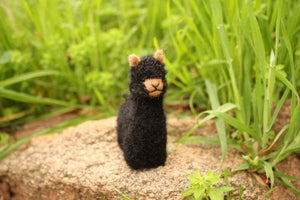 Alpacadorable Ornament