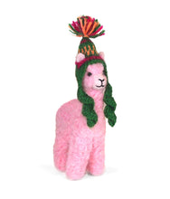 Cria Huacaya: 5.5"