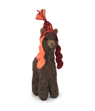 Cria Huacaya: 5.5"