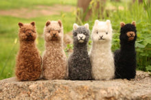 Alpacadorable Ornament