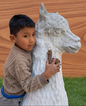 Cria Huacaya: 5.5"