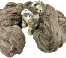 Cria Huacaya: 5.5"