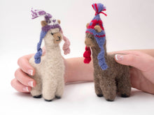 Cria Huacaya: 5.5"