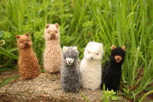 Alpacadorable Ornament