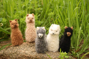 Alpacadorable Ornament