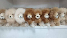 Lion - Alpaca Fur