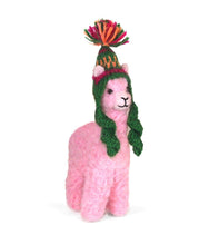 Cria Huacaya: 5.5"