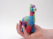 Cria Huacaya: 5.5"