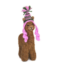 Cria Huacaya: 5.5"