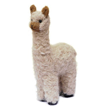 Cria Huacaya: 5.5"