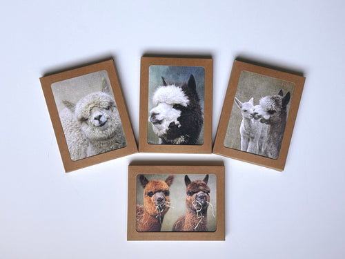 Alpaca Herd Note Cards