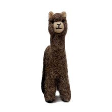 Cria Huacaya: 5.5"