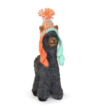 Cria Huacaya: 5.5"