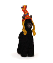 Cria Huacaya: 5.5"