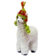 Cria Huacaya: 5.5"