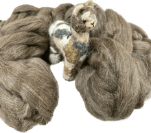Cria Huacaya: 5.5"
