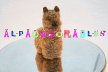 Alpacadorable Ornament