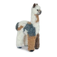 Cria Huacaya: 5.5"