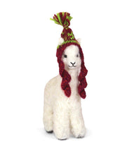 Cria Huacaya: 5.5"