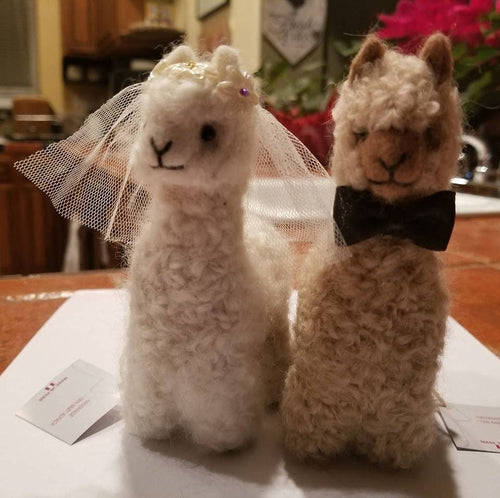 Bride and Groom Alpacadorable